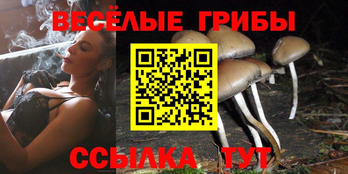 Прохладный  Псилоцибиновые грибы GOLDEN TEACHER  Галлюциногенные грибы мухоморы  Вход с VPN 