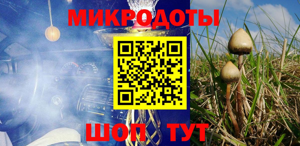 Галлюциногенные грибы Psilocybine cubensis Прохладный